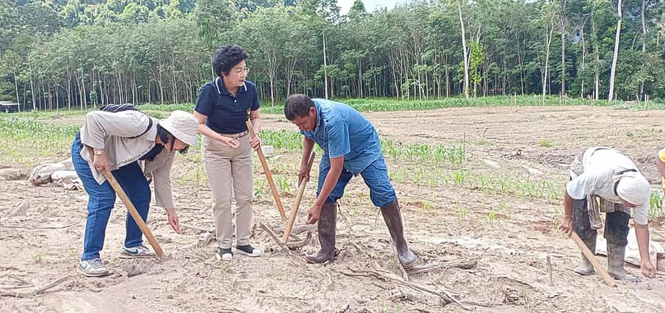 ผู้ใหญ่ใจดี อาจารย์มัทนา ร่วมหนำข้าวไรกะเหล่าคนกล้าคืนถิ่นด้วย สู้ท้าแดดจริงๆ