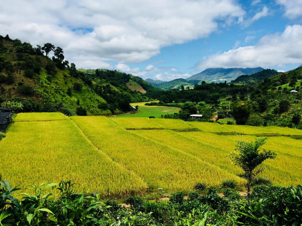 สถานที่อบรม สุพรรณบุรี